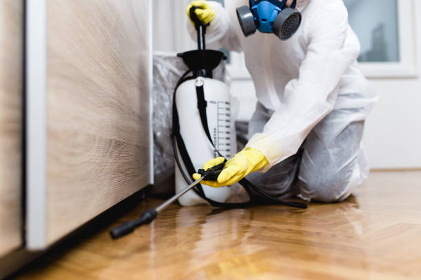 Best Mosquito Control Services  in Waynesboro, VA