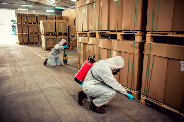 Best Best Pest Control Companies  in Waynesboro, VA