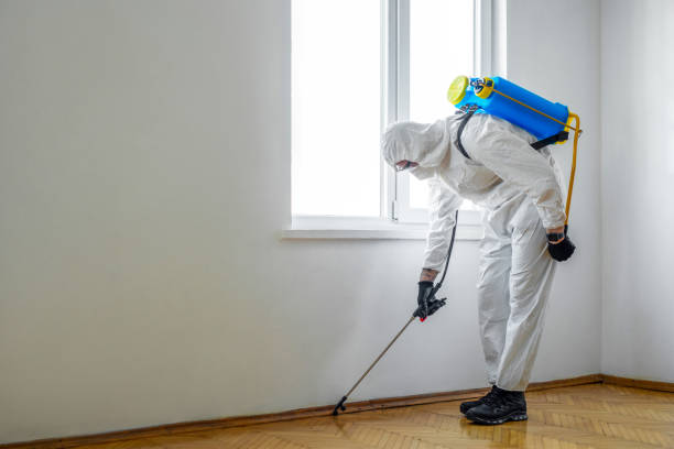 Best Residential Pest Control  in Waynesboro, VA