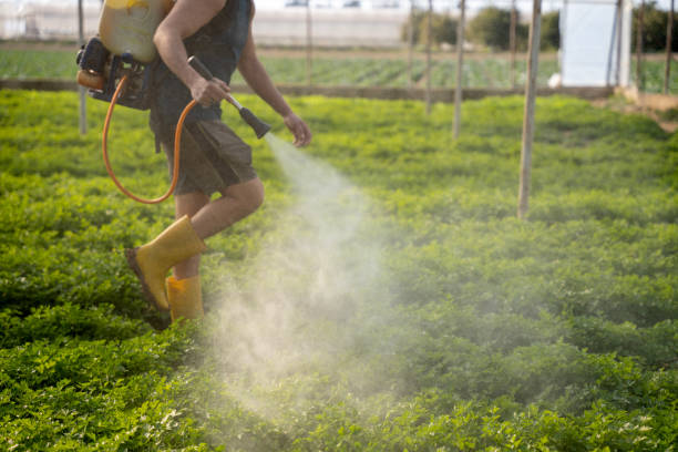 Best Best Pest Control Companies  in Waynesboro, VA