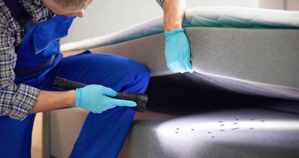 Best Best Pest Control Near Me  in Waynesboro, VA