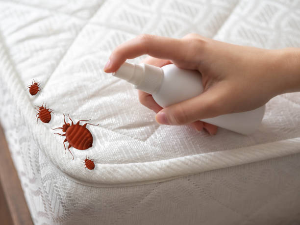 Best Pest Inspection Near Me  in Waynesboro, VA