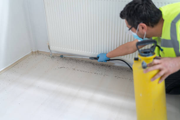 Best Local Pest Control Services  in Waynesboro, VA